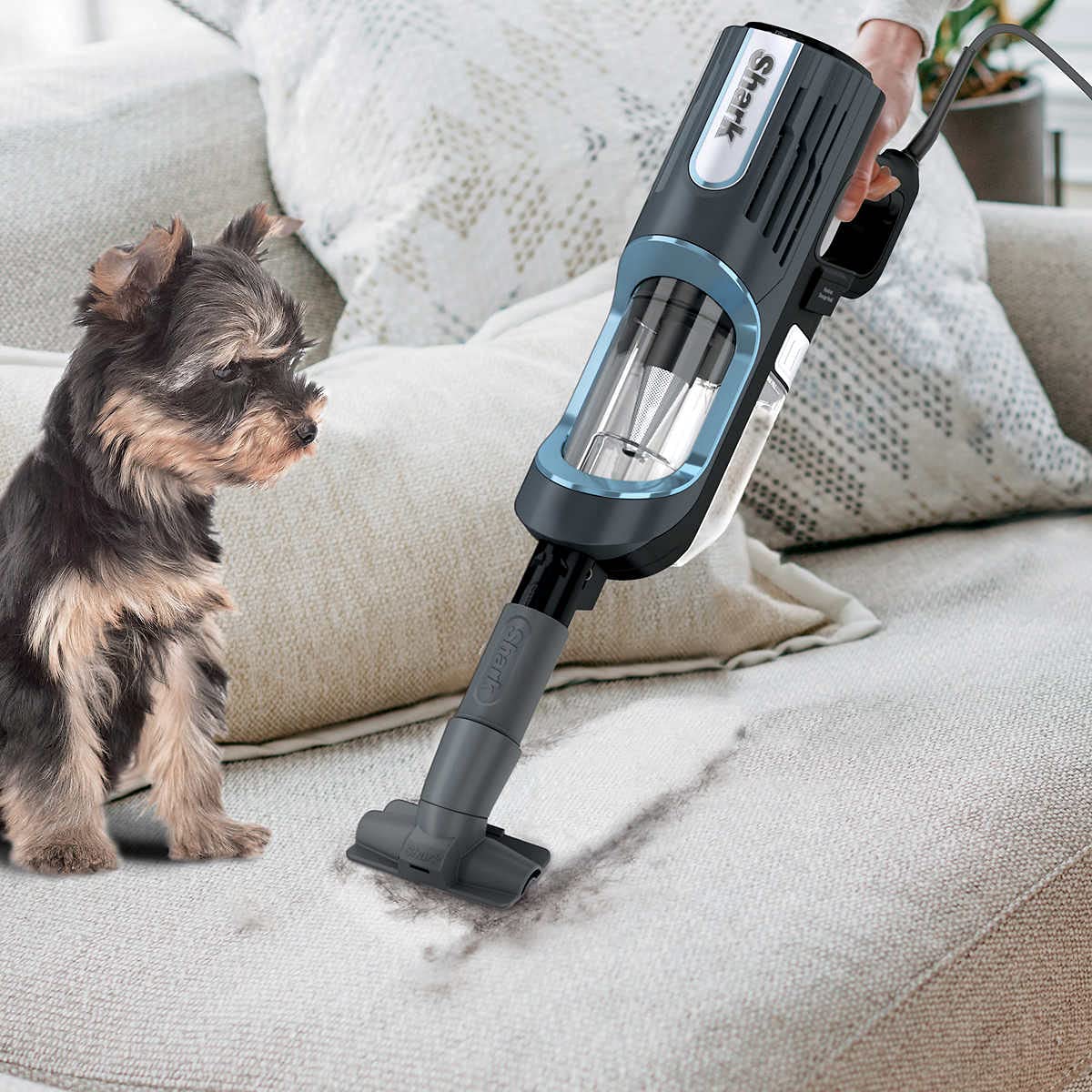 Shark UV580 Corded Stick Vacuum Cleaner - Ultra Lightweight, DuoClean Technology, Self-Cleaning Brushroll, Removable Handheld - Blue (Renewed) - Perfect for Hardwood Floors, Carpets & Pet Hair Removal