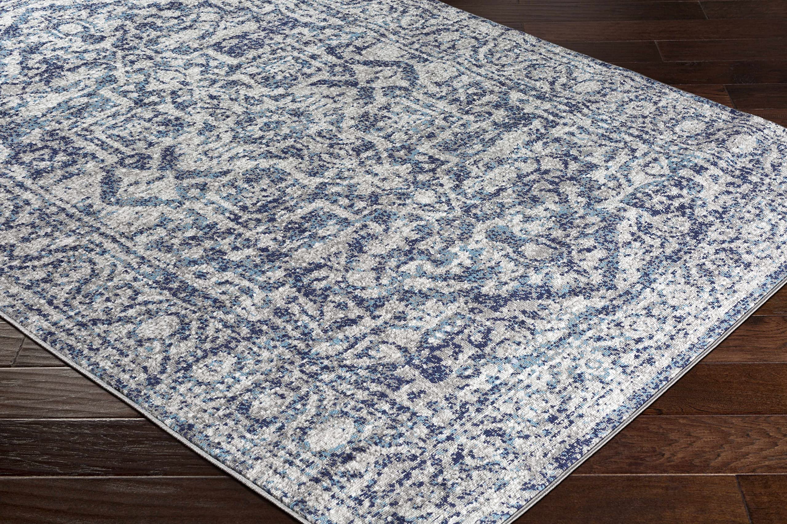 Costigan Traditional Area Rug 6'7