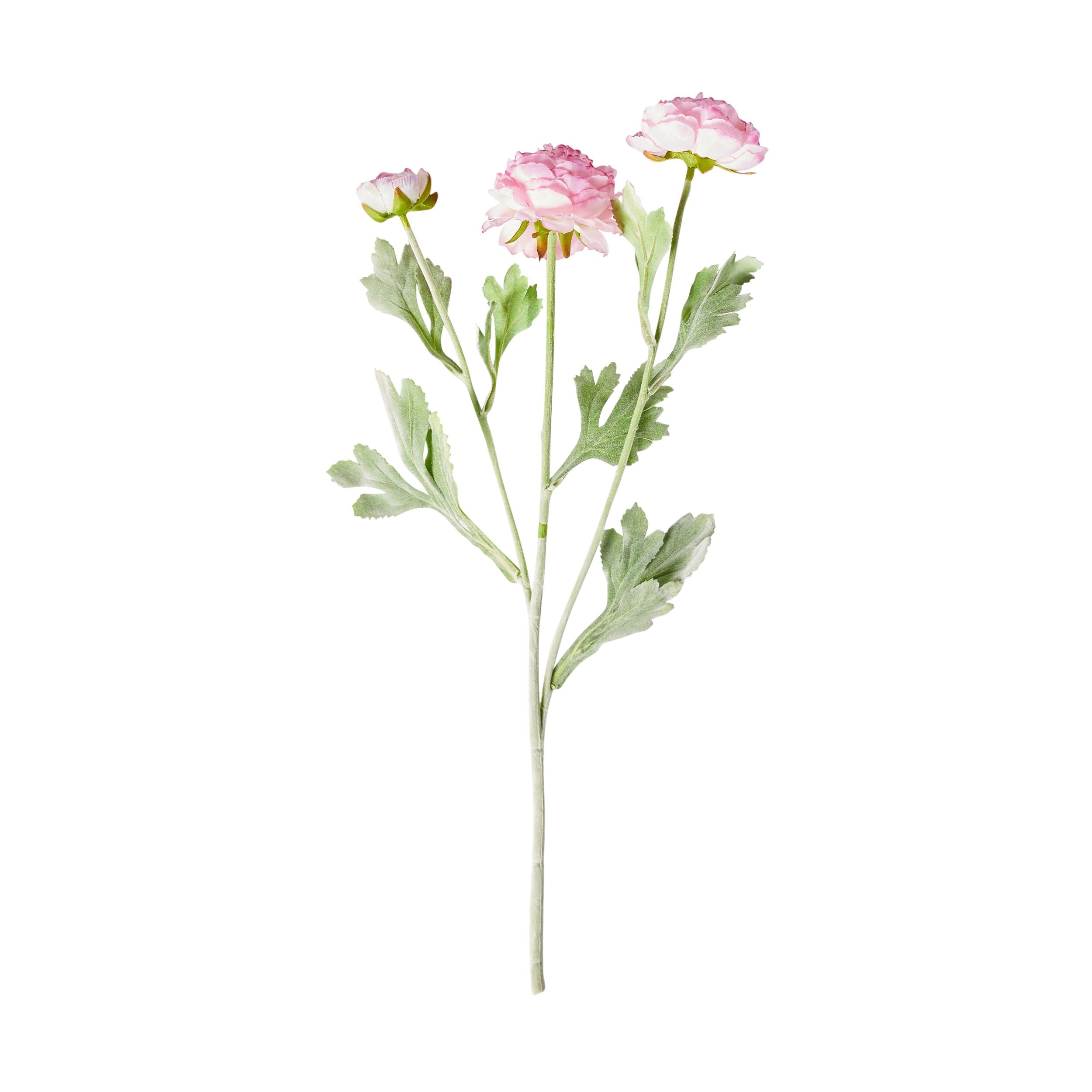 Acacia Ranunculus Pink Artificial Flowers - Set of 3 Stems 52cm Tall - Perfect for Wedding Centerpieces, Home Decor, and Floral Arrangements