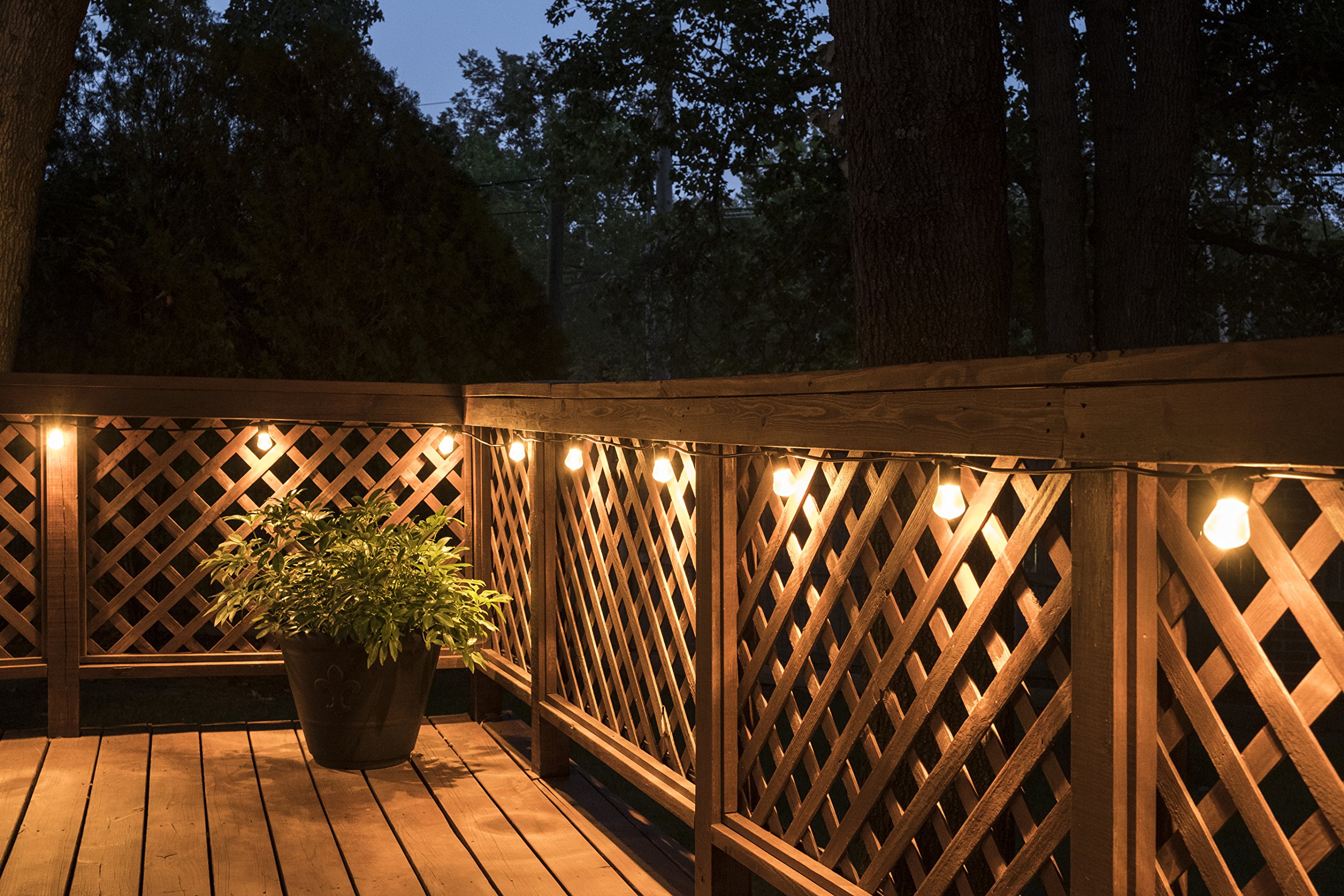 Enbrighten 48ft LED Bistro String Lights with 24 Blow Molded Bulbs - Polarized Indoor/Outdoor Cafe Lights + UltraPro Digital Timer - Perfect for Patio, Garden, Wedding & Backyard Decor