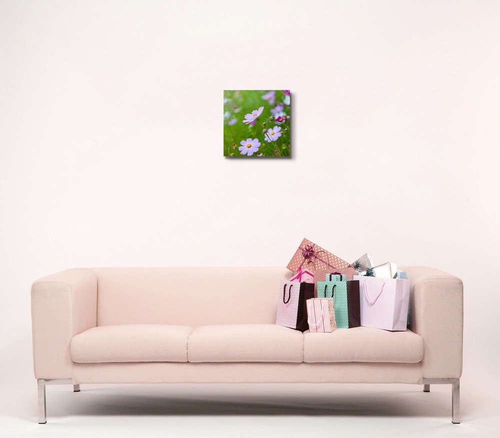 Pink Cosmos Flowers Canvas Print - 16x16 Inch Stretched Gallery Wrap, Modern Wall Art Decor for Living Room, Bedroom & Office | Ready to Hang Giclee Fine Art