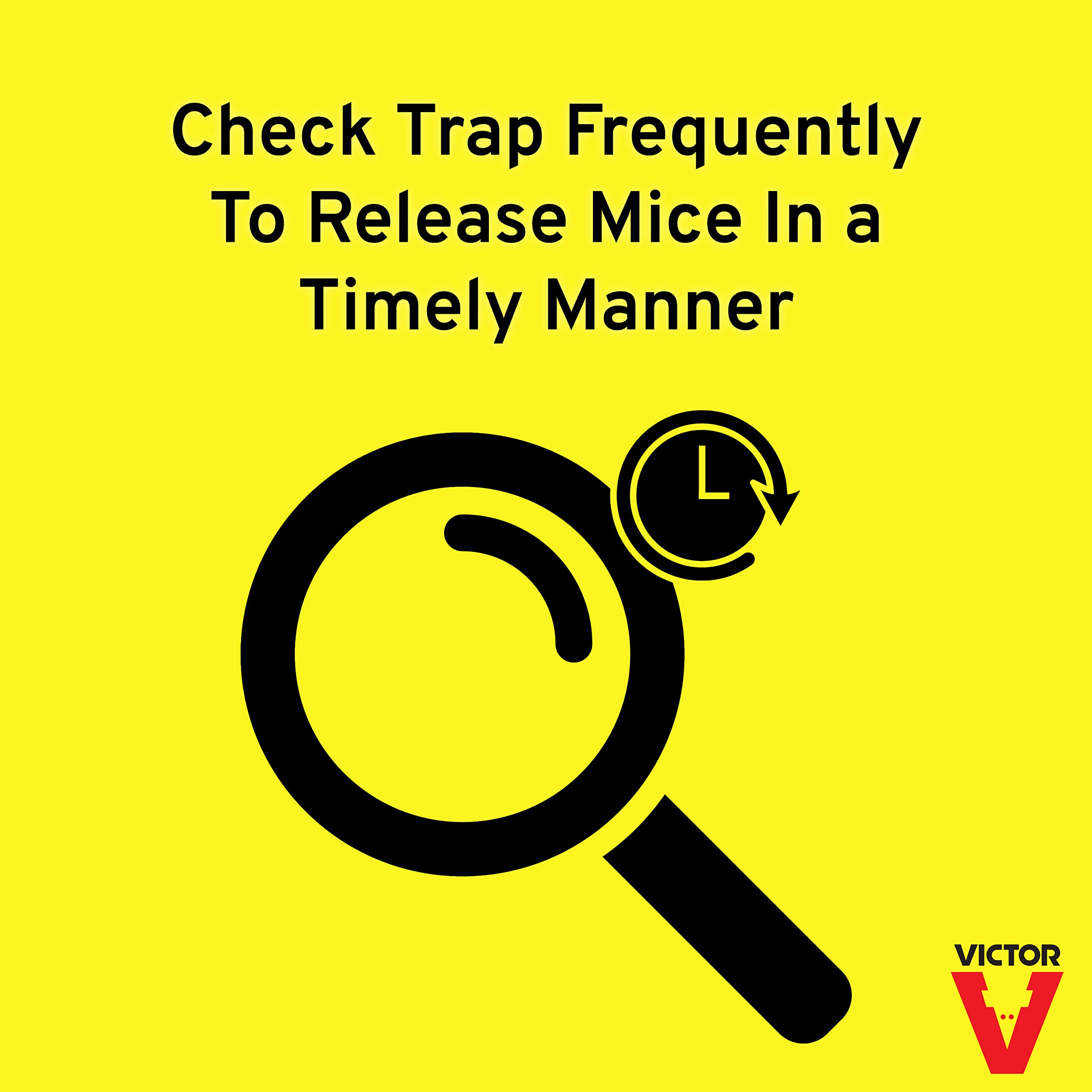 Victor M308 TIN CAT Clear Top Mouse & Rat Trap - Humane Live Catch Reusable Rodent Trap (Pack of 12, Silver) - Ideal for Home, Garage, Basement & Outdoor Pest Control