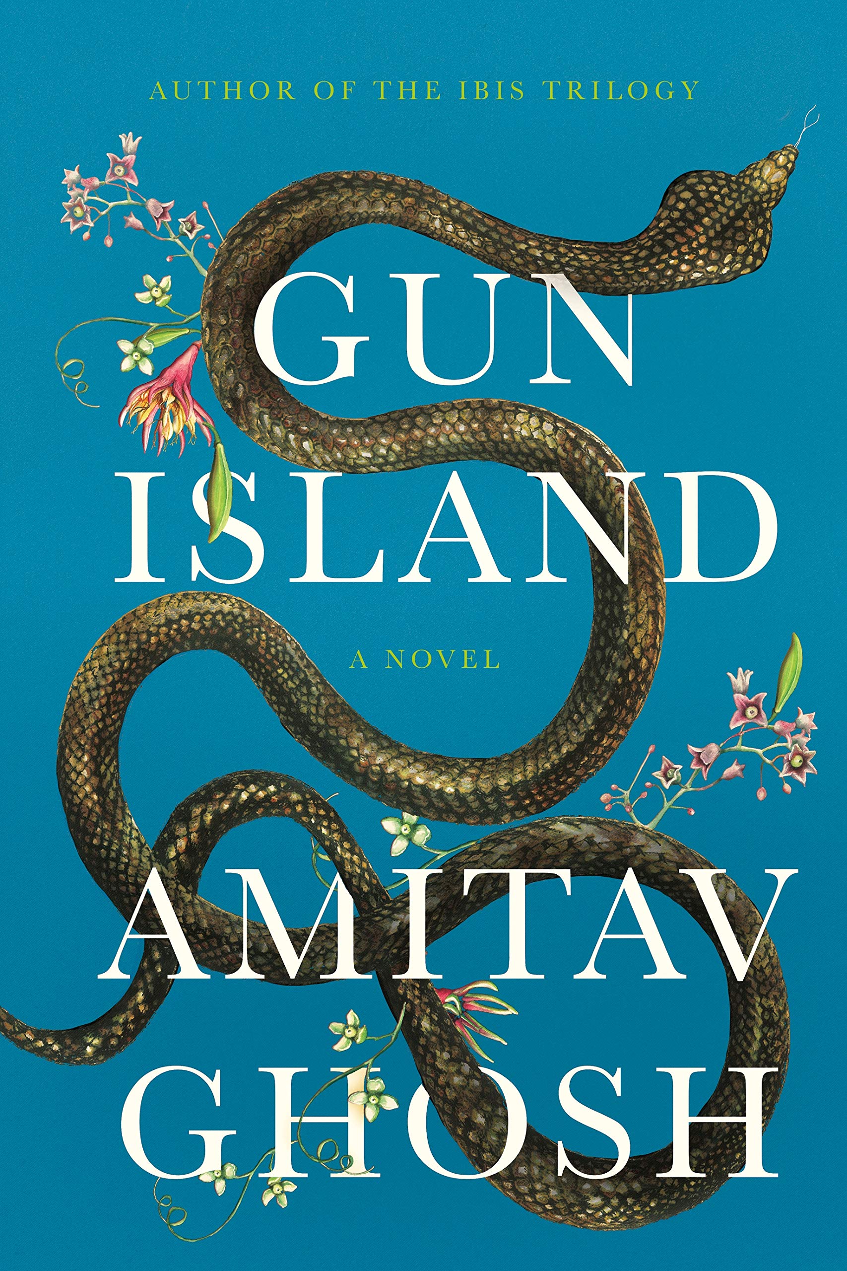 Gun Island: A Thrilling Adventure Novel - Perfect for Mystery Lovers & Book Club Discussions