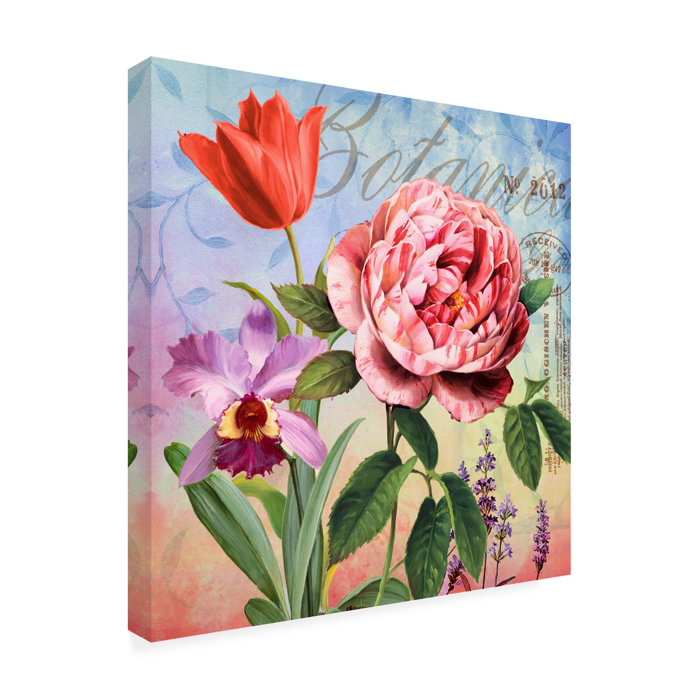 Trademark Fine Art 'Botanique with Rose' Floral Canvas Wall Art Print - Elegant Home Decor for Living Room, Bedroom & Office