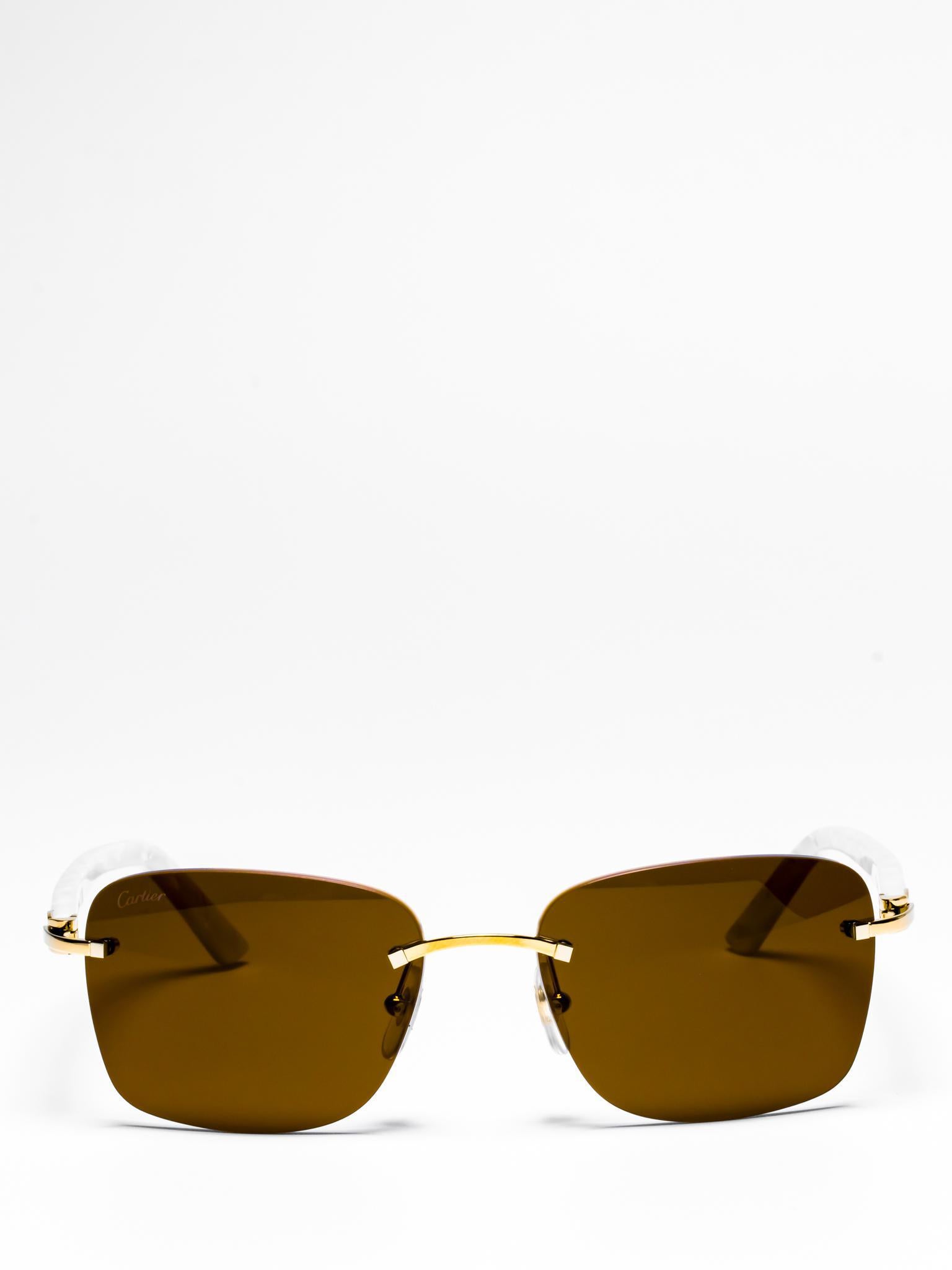 Cartier CT0034RS 001 C Décor Sunglasses - Luxury Designer Shades for Women & Men | Perfect for Beach, Driving & Fashion Outfits