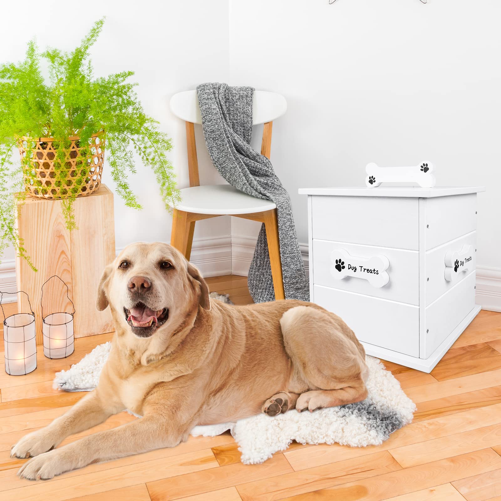 15 LB Wooden Pet Food Storage Container for Dogs, Cats & Birds - Airtight Pet Food Bin with Lid, Dog Toy Storage Box (White) - Perfect for Kitchen, Pantry & Pet Feeding Areas