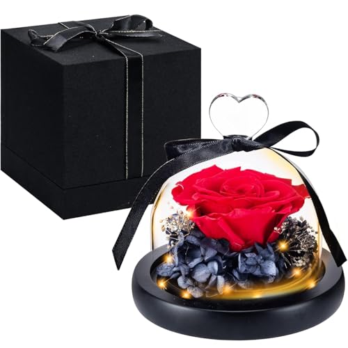 Preserved Small Rose