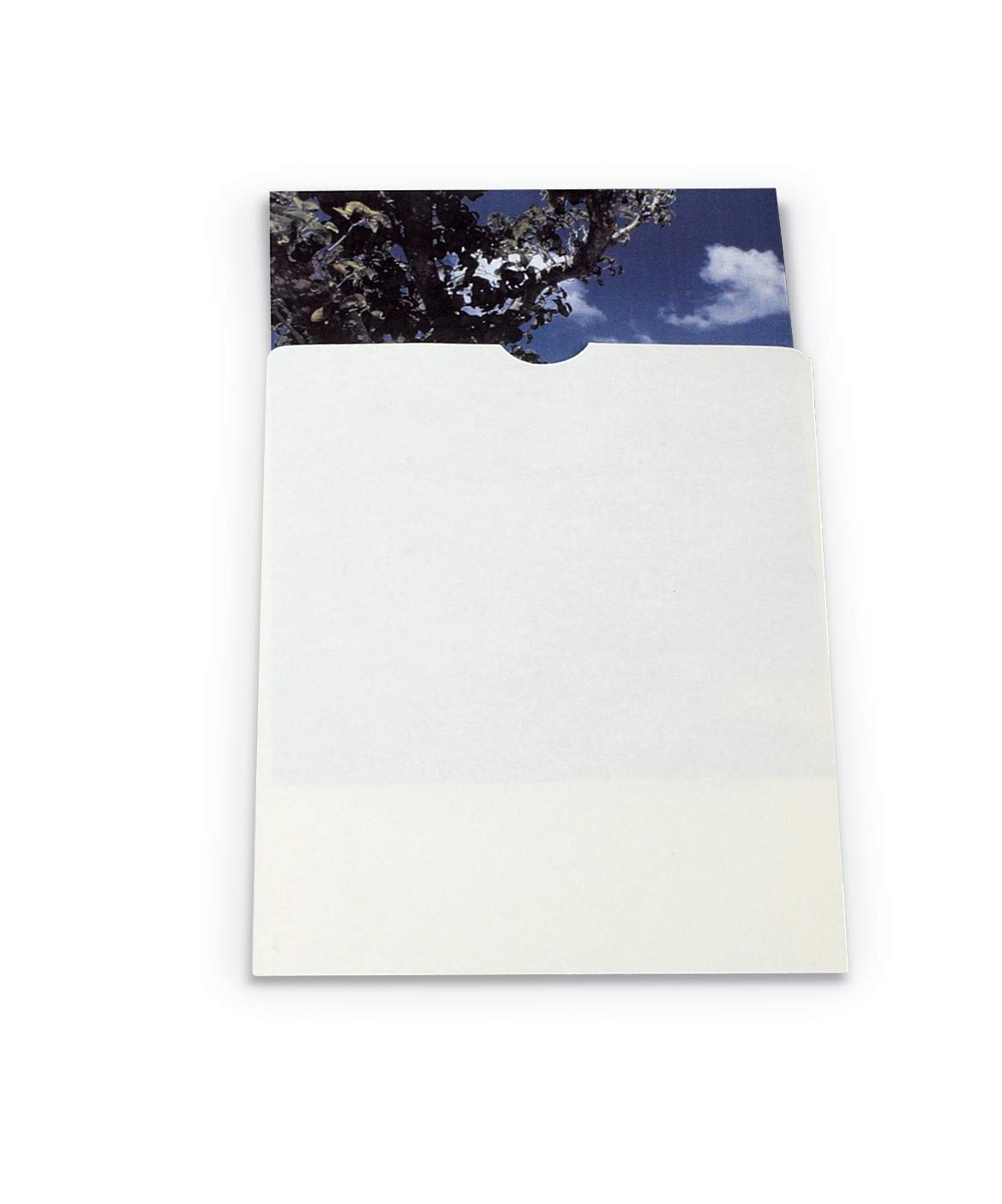 Gaylord Archival Buffered Negative & Print Envelopes - 100 Pack | Acid-Free Photo Storage Solution for Film Negatives, Documents & Prints | Perfect for Photographers, Archivists & Collectors