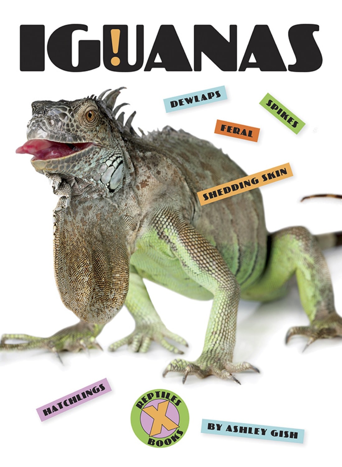 Iguanas Care Book - 9781640260825 | Complete Guide for Pet Owners - Perfect for Reptile Enthusiasts & Beginners