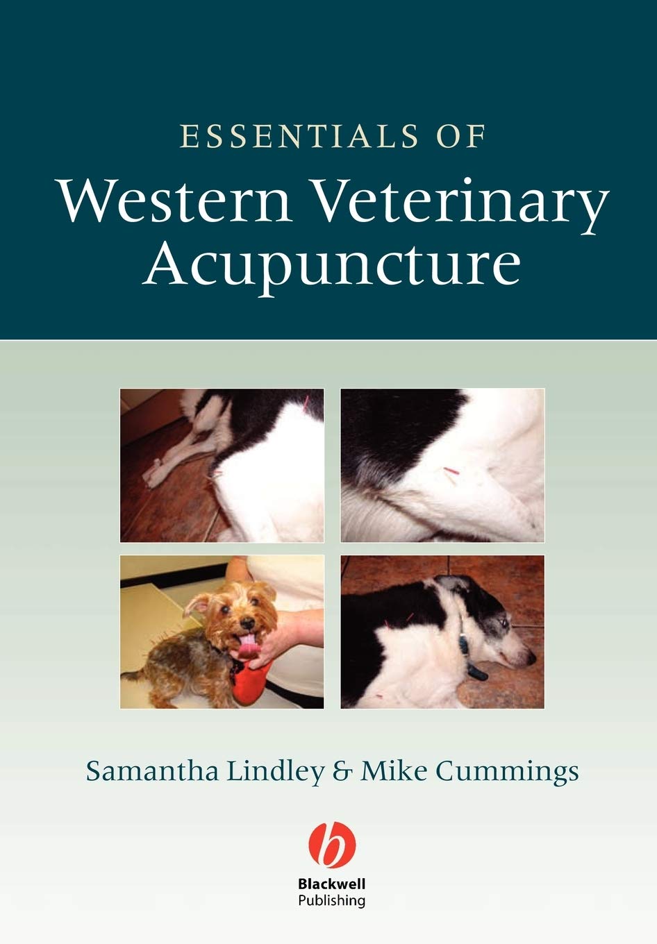 Western Veterinary Acupuncture Kit - Essential Needles & Tools for Small Animal Pain Relief | Perfect for Dogs, Cats & Horses in Rehabilitation Therapy