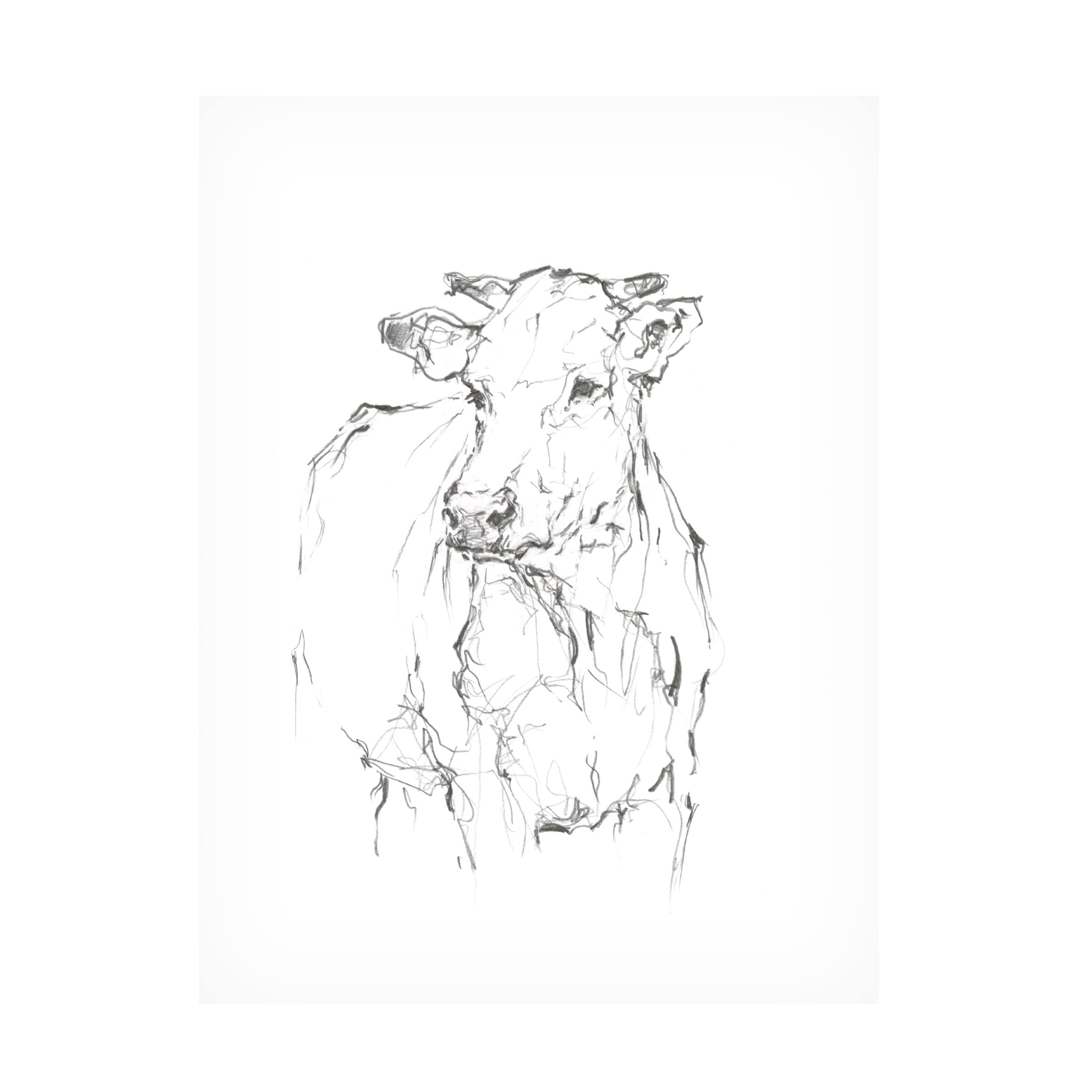 Trademark Fine Art 'Bovine Quick Study II' Canvas Art by Ethan Harper - Modern Farmhouse Wall Decor for Living Room, Bedroom & Office