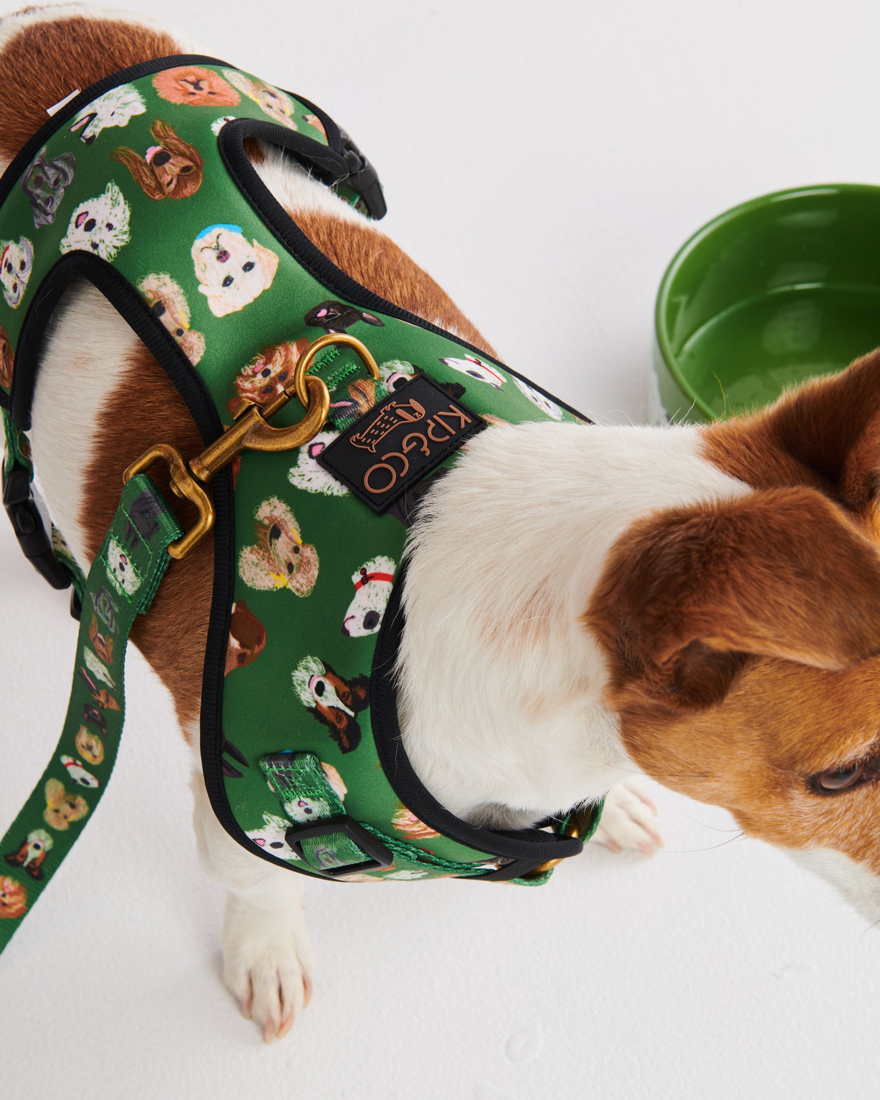 **Best Dog Harness for Dog Parks - Adjustable & Reflective Pet Harness for Small, Medium & Large Dogs - Perfect for Outdoor Walks, Hiking & Training**