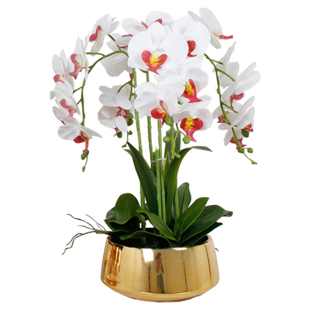 Premium Artificial Phalaenopsis Orchid Flowers in White with Gold Ceramic Vase - Realistic Silk Butterfly Bonsai for Home, Garden, Wedding & Party Decorations - Perfect for Indoor/Outdoor Use, Table Centerpieces, and Office Decor