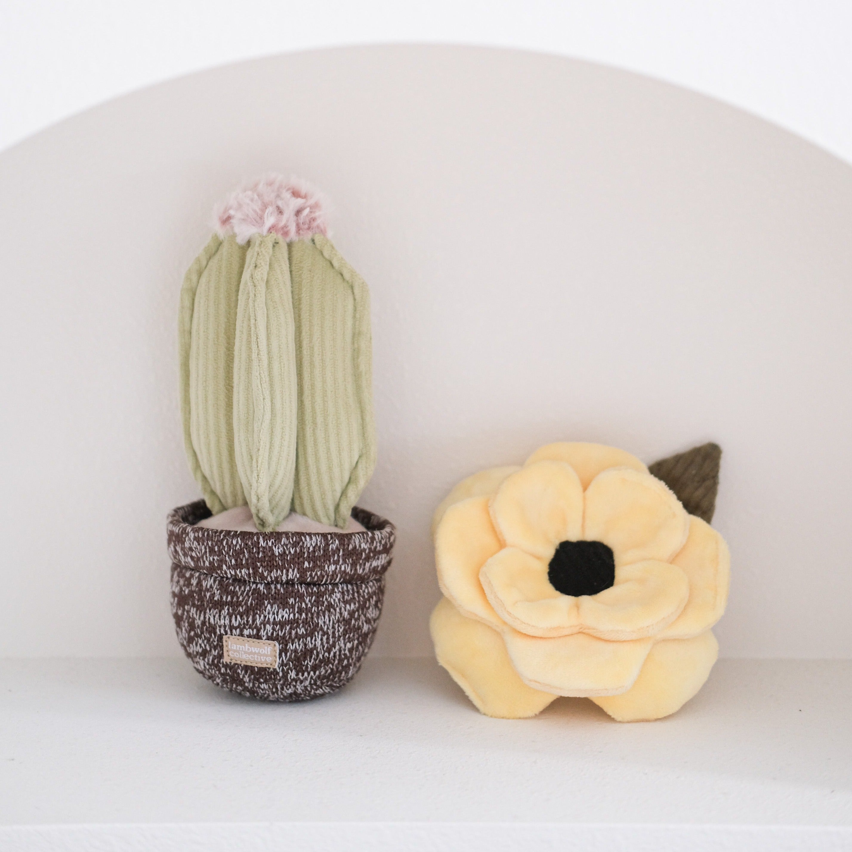 Poppy Flowers - Beautiful & Vibrant Blooms for Home Decor, Weddings & Special Events | Perfect for Bouquets, Centerpieces & Gifts