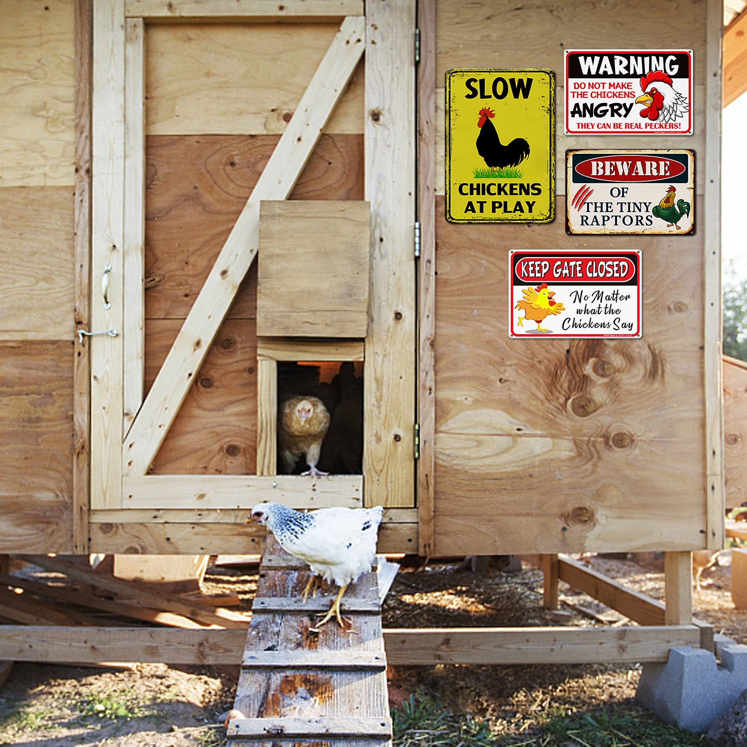 Slow Chickens at Play Caution Sign - 14x10 Inch Reflective Aluminum Metal Sign for Chicken Crossing, Fade & UV Resistant, Weatherproof for 7 Years - Perfect for Farms, Backyards & Rural Road Safety