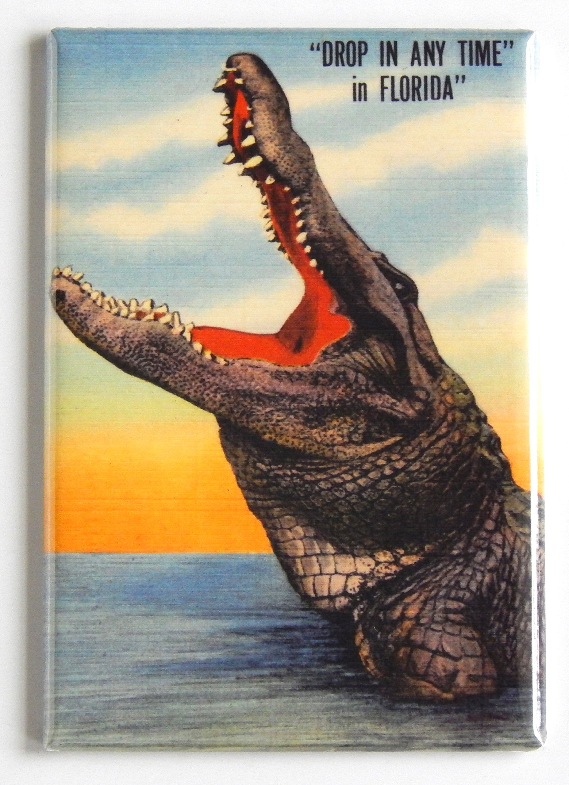 Florida Alligator Fridge Magnet - 2 x 3 Inches - Unique Souvenir Gift for Travel Lovers - Perfect for Refrigerators, Lockers & Office Decor