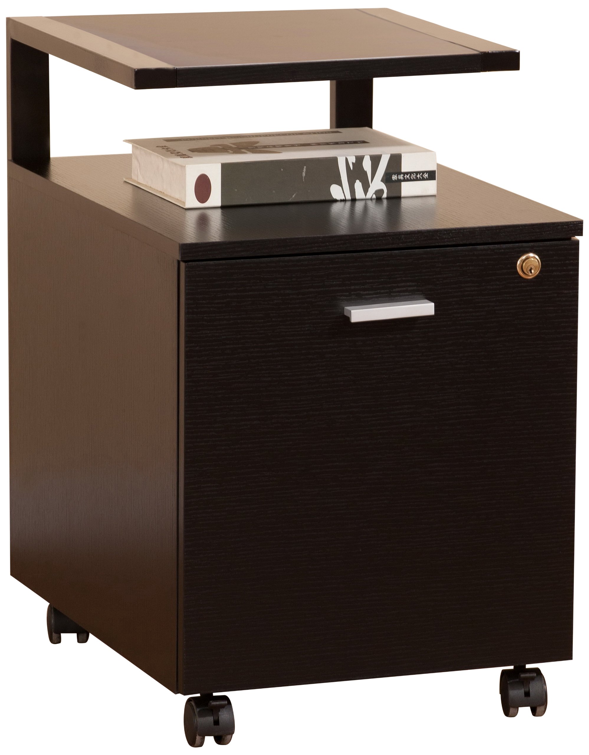 ioHOMES Black 2-Drawer File Cabinet for Office Organization - Heavy Duty Metal Filing Cabinet with Lock, Perfect for Home Office, Business, and School Storage