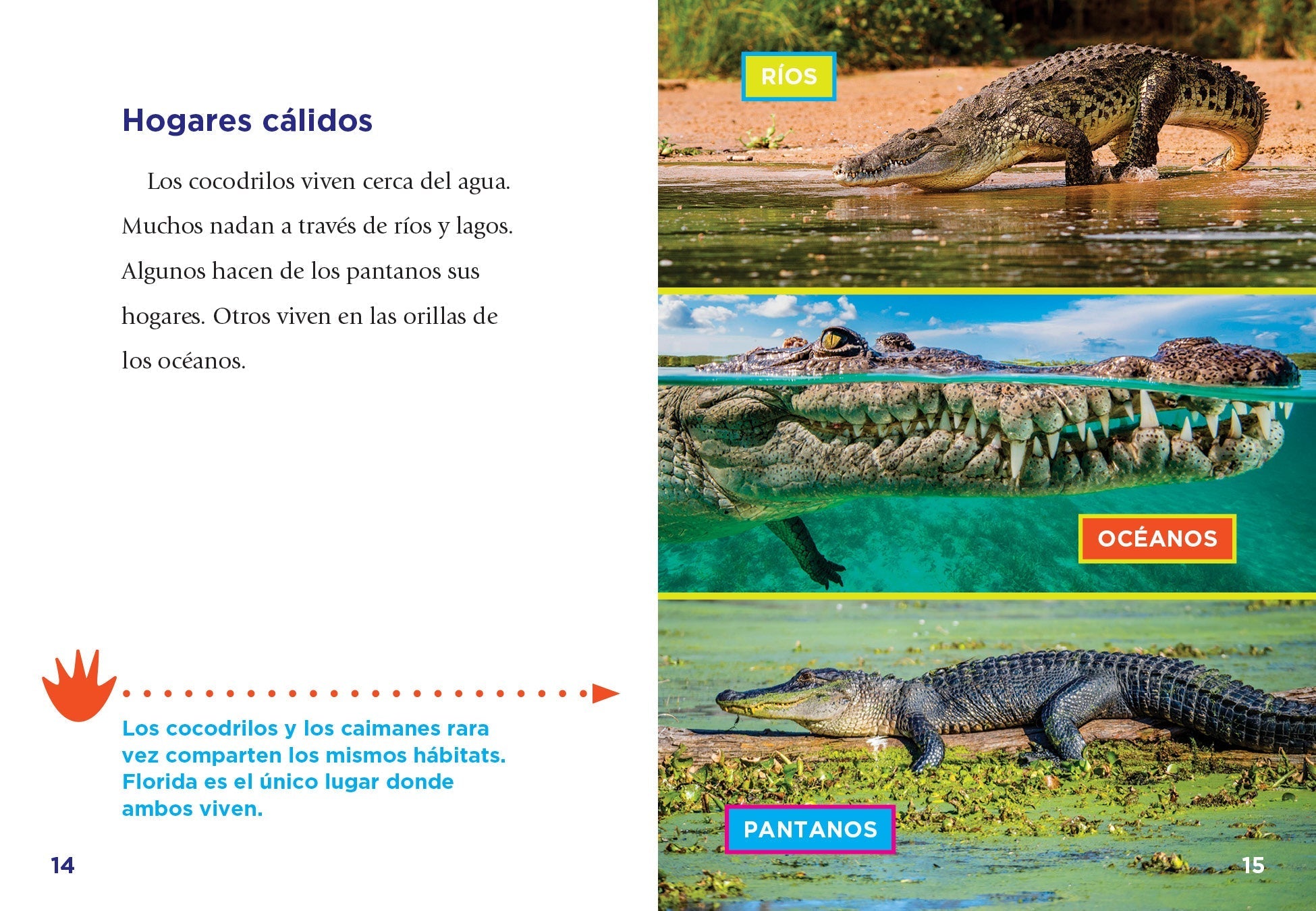 Crocodiles Book - 9781623109592 - Educational Wildlife Guide for Kids & Adults - Perfect for School Projects & Animal Lovers