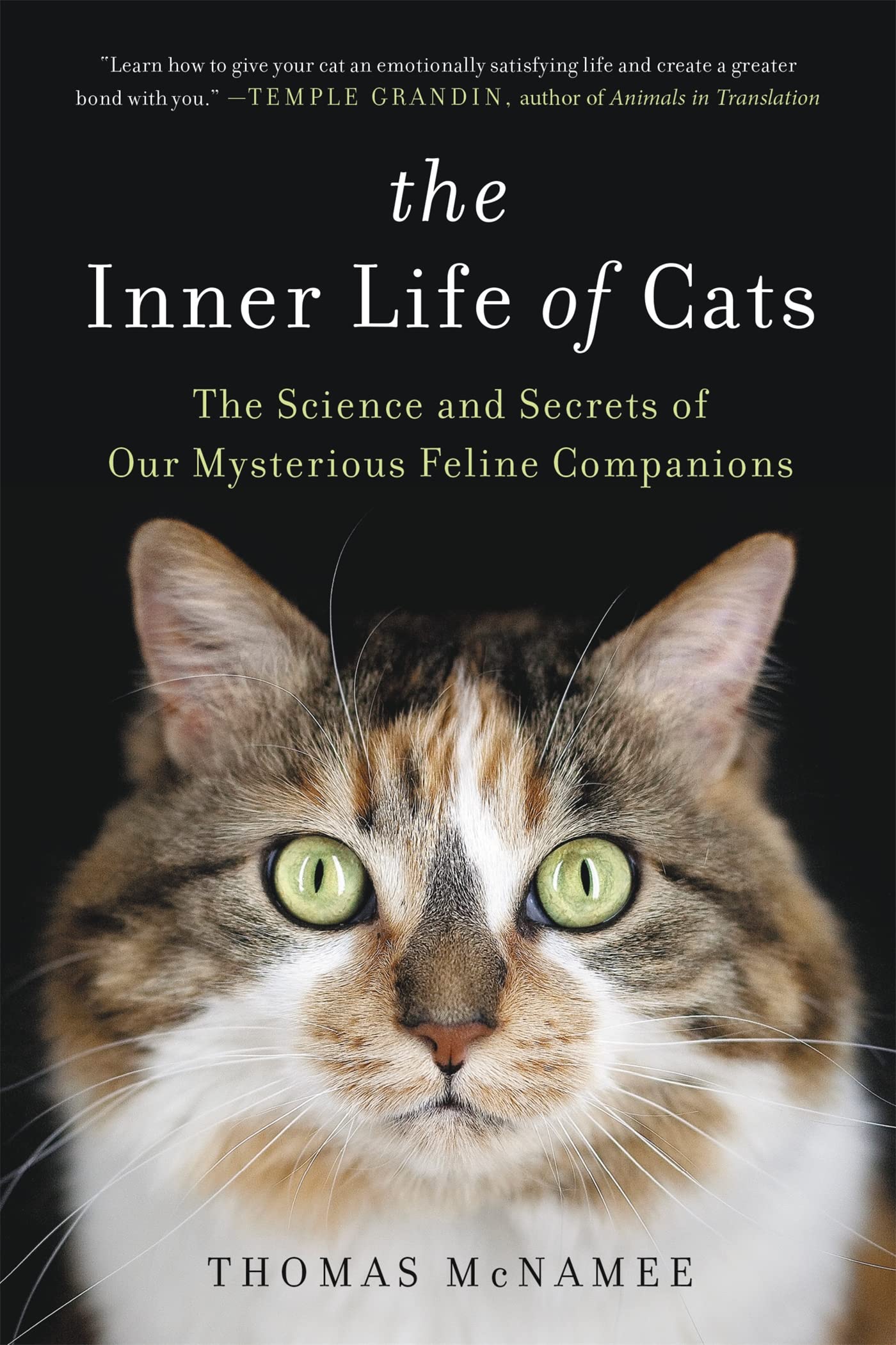 The Inner Life of Cats: Understanding Feline Behavior & Psychology | Cat Care Guide for Pet Owners | Perfect for Cat Lovers & New Owners