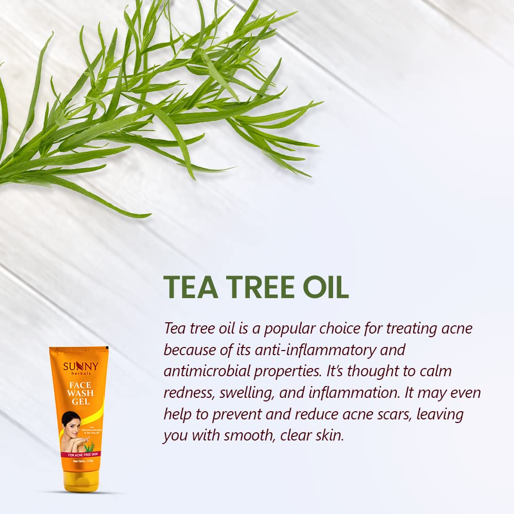 Sunny Face Scrub (100g) & Tea Tree Oil Face Wash (110g) - Deep Pore Cleanser for Acne Prone Skin | Exfoliating Scrub & Facial Cleanser to Remove Dirt, Dead Skin Cells & Unclog Pores | Helps Treat Pimples & Promote Skin Renewal | Perfect for Daily Skincare Routine & Acne Treatment
