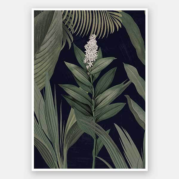 Dark Flora Unframed Art Print - Botanical Wall Decor for Home, Office & Gallery - Perfect for Living Room, Bedroom & Studio Aesthetics