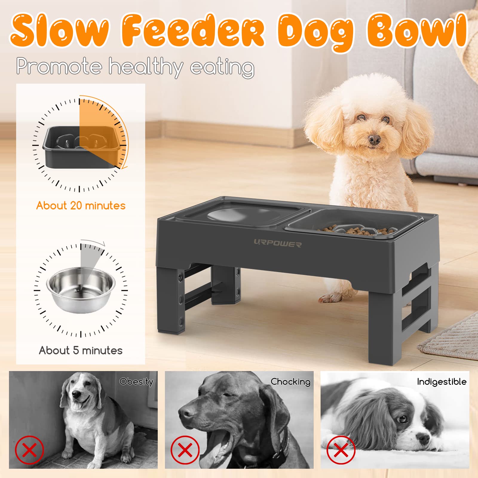 URPOWER 2-in-1 Elevated Slow Feeder Dog Bowl with No Spill Water Bowl - 4 Height Adjustable Raised Pet Feeder for Small, Medium & Large Dogs, Cats - Anti-Choking & Digestion Aid for Fast Eaters - Perfect for Home, Travel & Outdoor Use