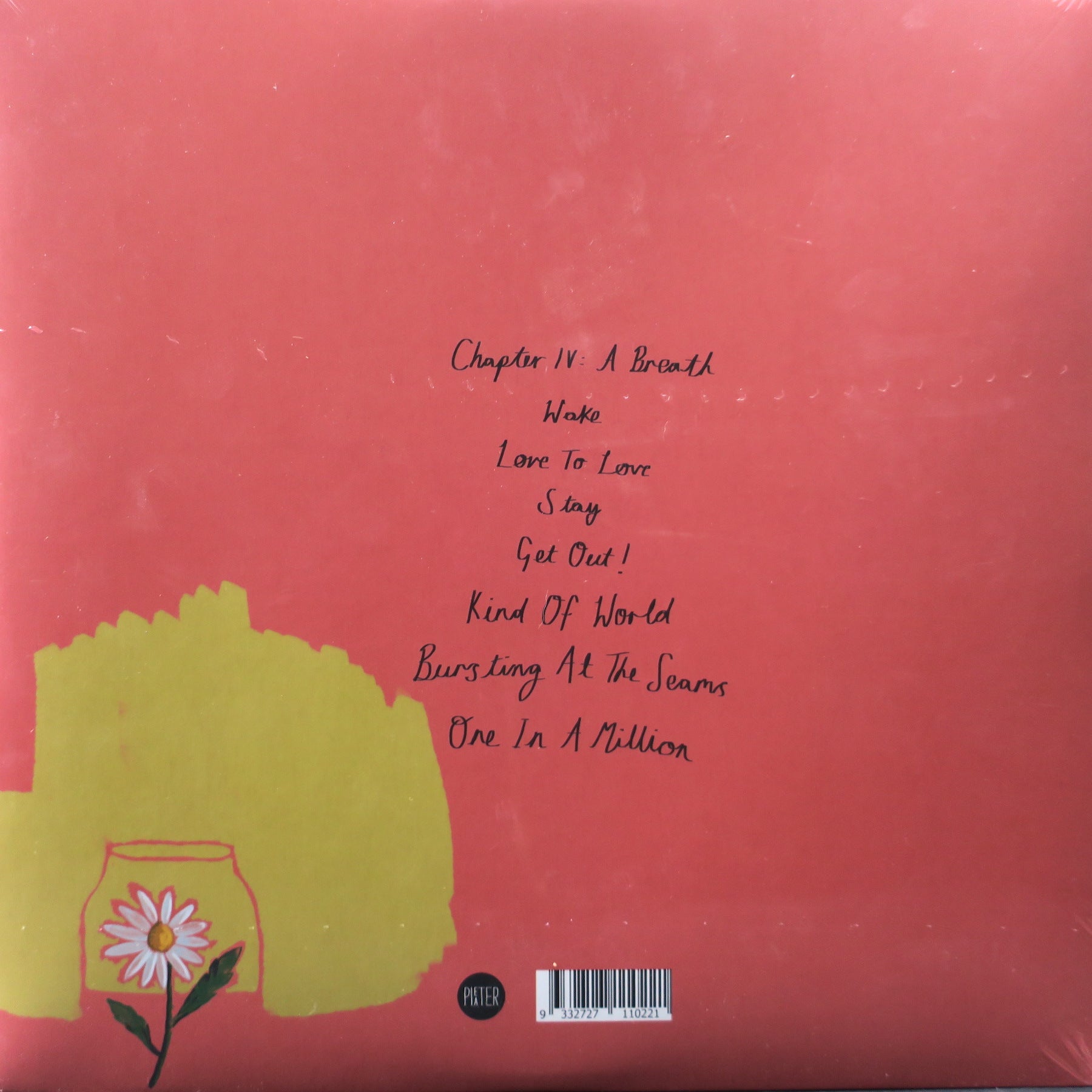 BIG SCARY 'Daisy' Vinyl 2LP Record (2021 Australian Indie Rock) - Perfect for Music Collectors & Vinyl Enthusiasts