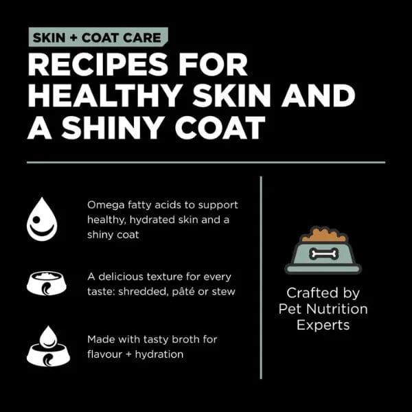 Go! Solutions Skin & Coat Care Turkey & Salmon Pate Wet Dog Food - 12.5oz Can, Grain-Free Recipe for Healthy Skin & Shiny Coat | Perfect for Adult Dogs with Sensitive Skin or Allergies