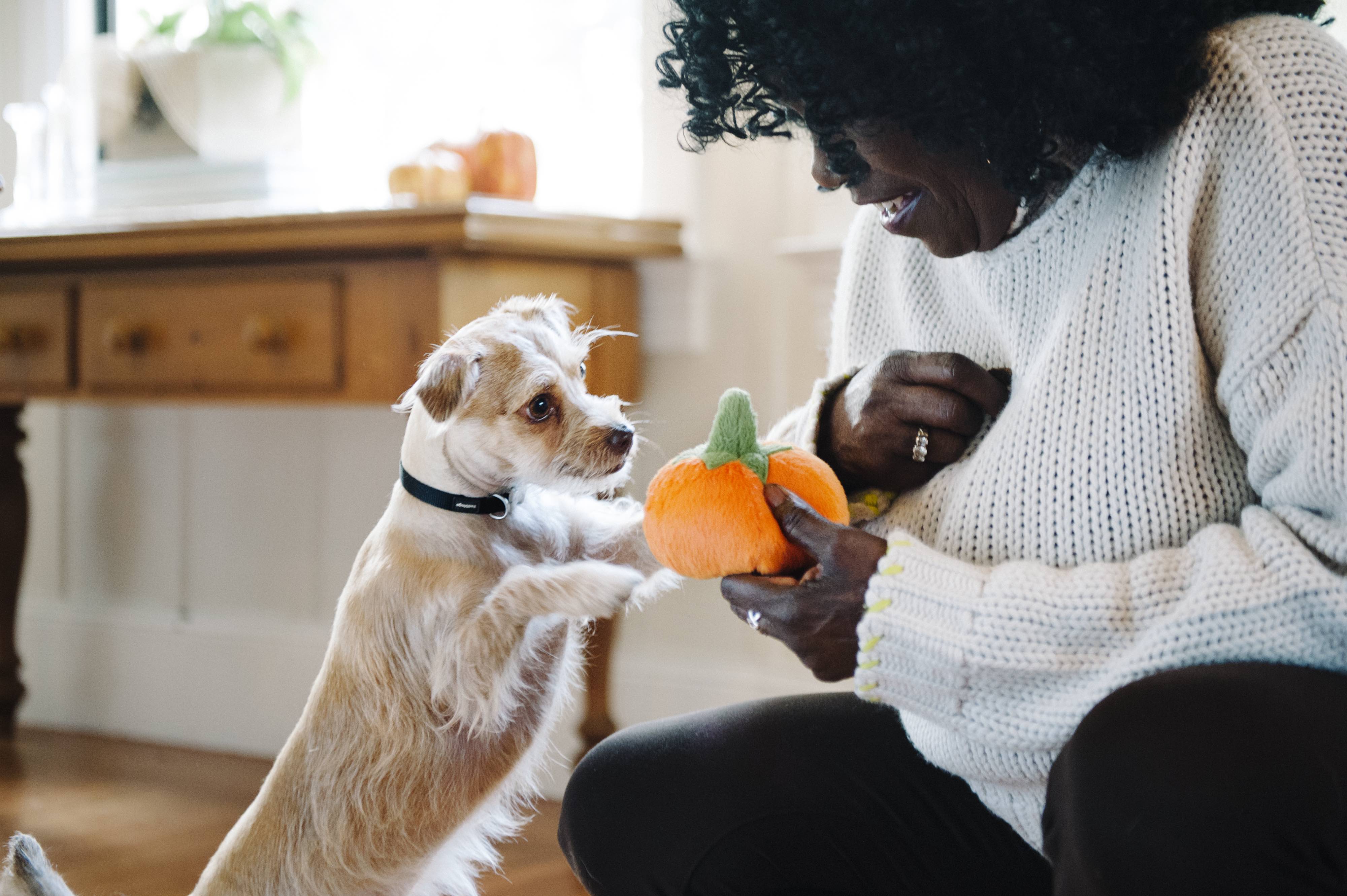 Garden Fresh Mini Squeaky Plush Dog Toy - Soft Chew Toy for Small Dogs, Puppy Teething & Playtime - Perfect for Indoor/Outdoor Play & Training