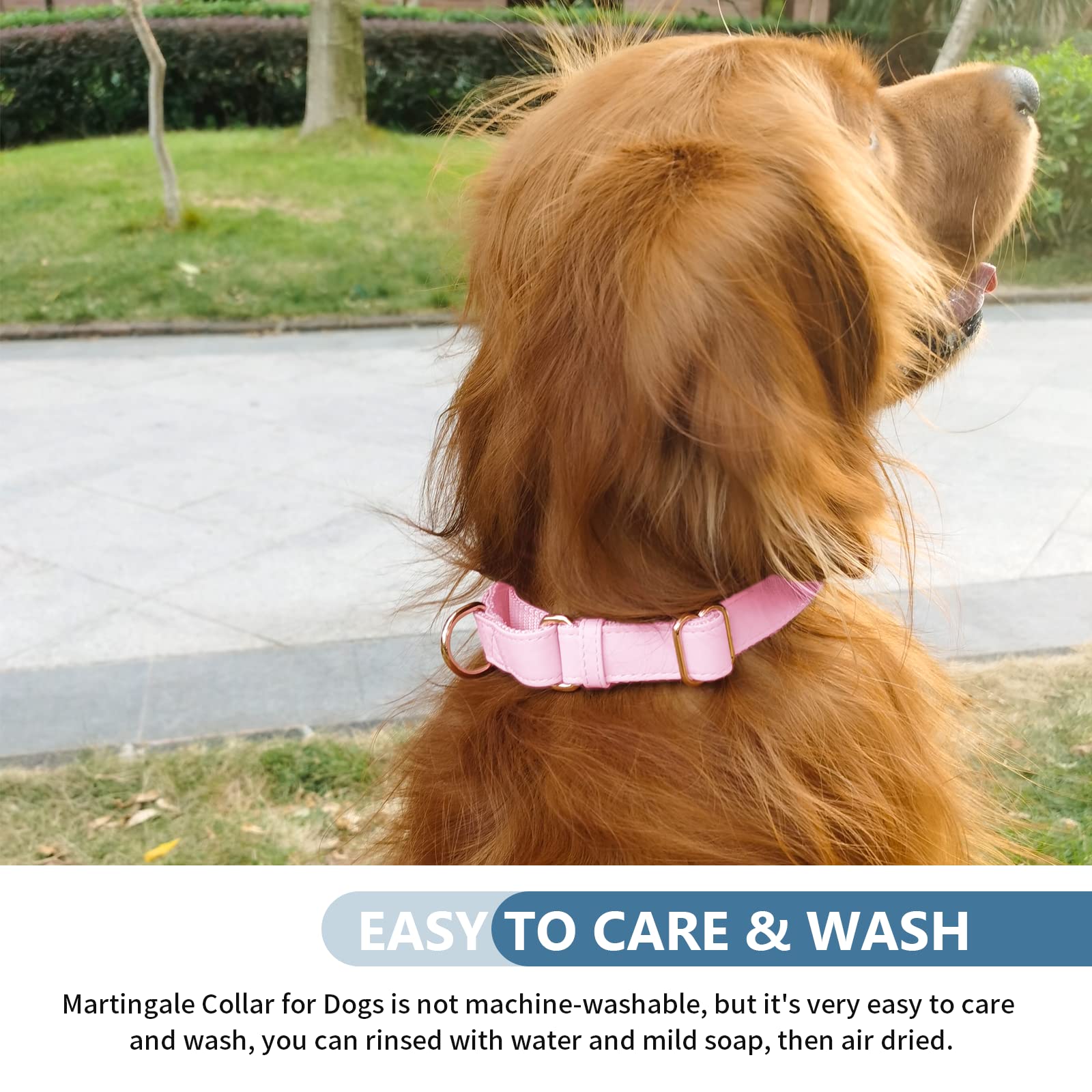 Premium Soft Leather Martingale Dog Collar - Adjustable Rose Gold No-Pull Training Collar for Small, Medium & Large Dogs | Stylish Durable Nylon Design | Easy to Clean | Perfect for Daily Walks, Training & Outdoor Adventures (Pink)
