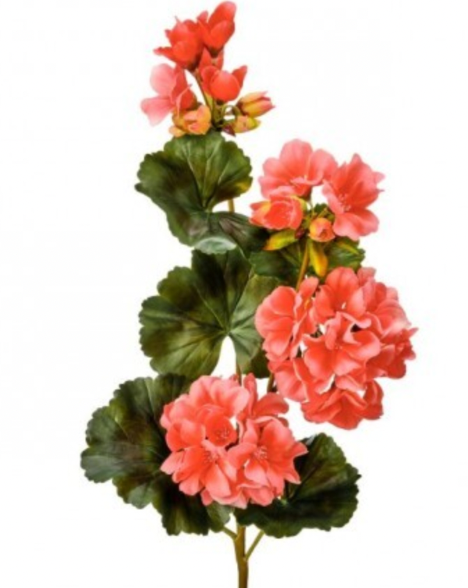 Just Cut Geranium Spray - Fresh Floral Scent for Home, Office & Gifts | Long-Lasting Fragrance for Aromatherapy & Relaxation