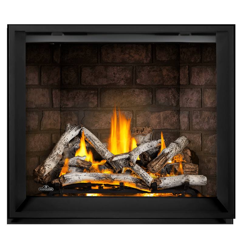 Napoleon Elevation X 42 Inch Direct Vent Gas Fireplace - EX42 | Indoor Heating for Living Rooms & Bedrooms | Modern Home Decor