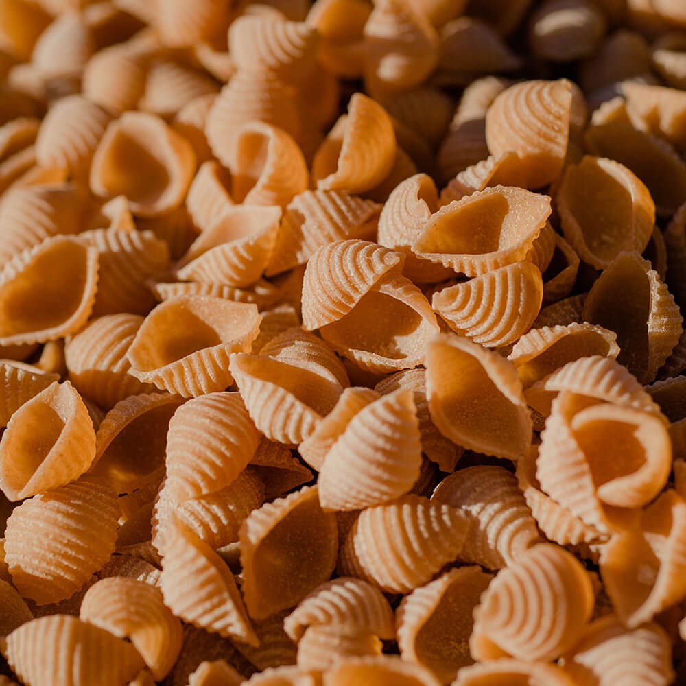 Organic Spelt Shells Pasta - Handmade Sourdough Pasta | Artisanal Italian Pasta for Healthy Meals, Vegan & Gluten-Free Friendly | Perfect for Pasta Salads, Soups, and Gourmet Dinners