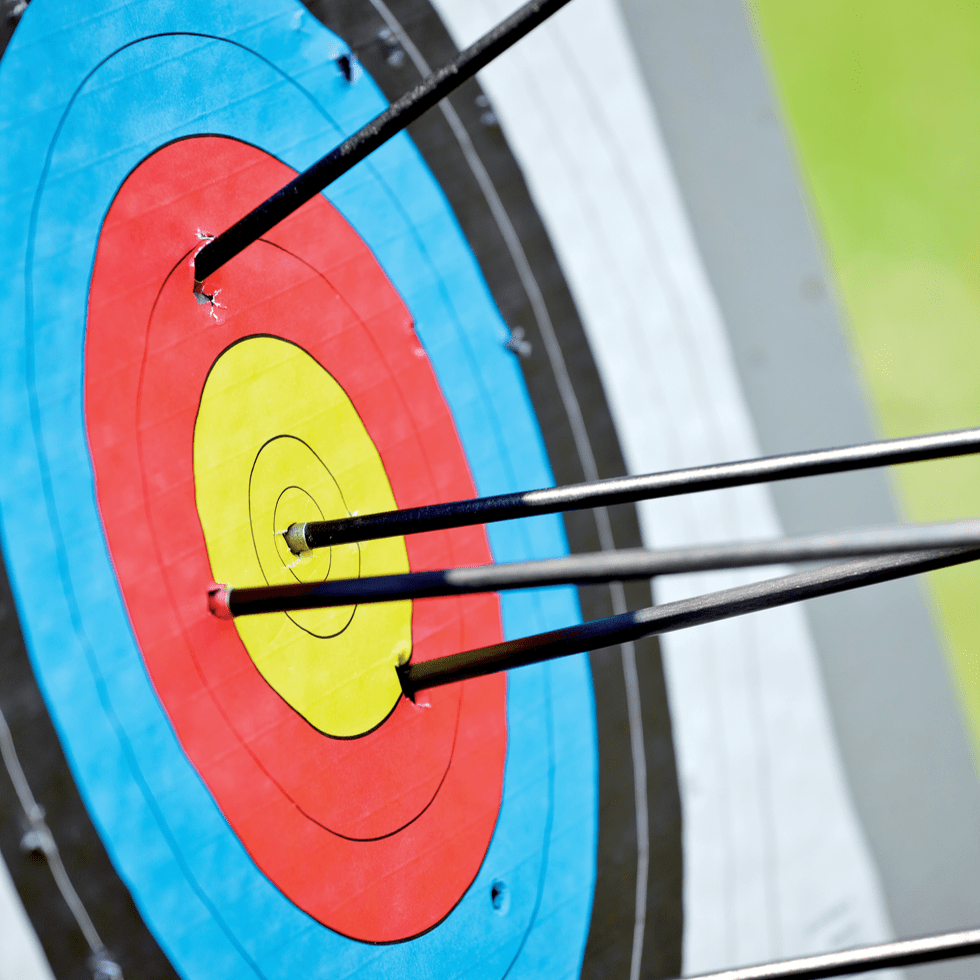 80cm High-Quality Target Face for Archery & Shooting Practice - Perfect for Indoor & Outdoor Training