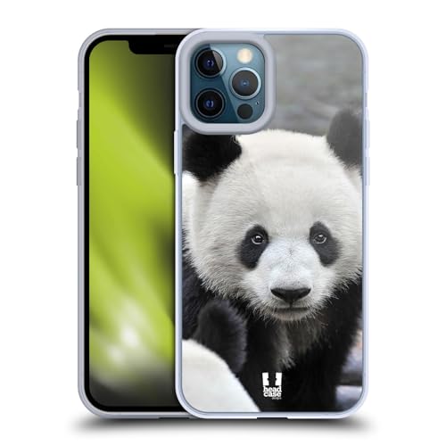Close-Up Panda