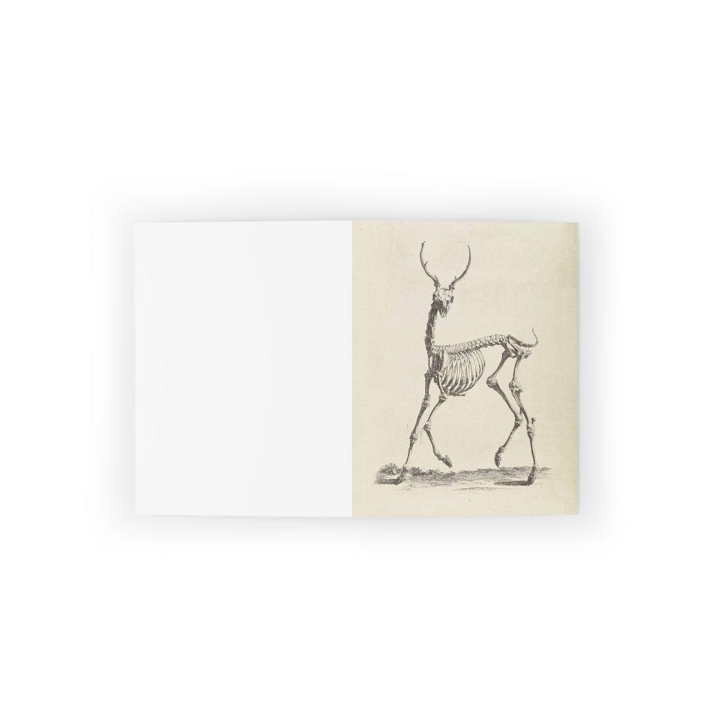 Deer Skeleton Greeting Cards - 10 Pack Halloween Themed Blank Note Cards with Envelopes - Perfect for Spooky Party Invitations, Halloween Decorations, and Gothic Gift Giving