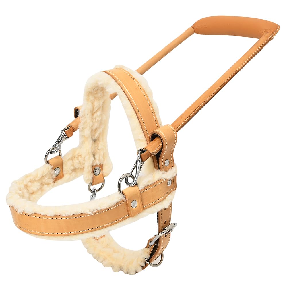 HILASON Guide Dog Harness - Adjustable Fleece Padded Genuine Leather with Handle for Training, Therapy & Service Dogs | Breathable & Comfortable Design for Daily Walks, Outdoor Adventures & Assistance Work