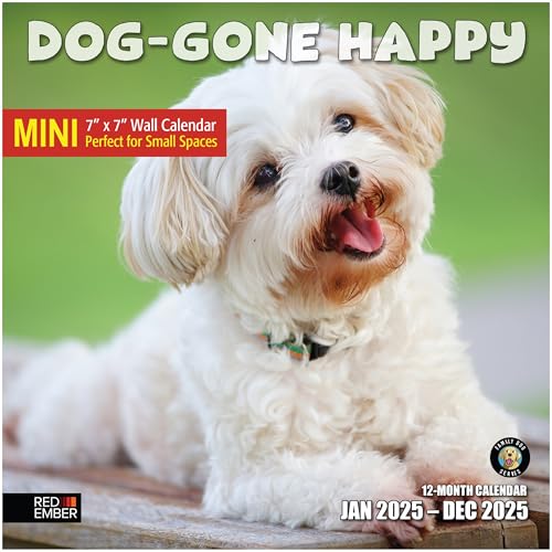 01A - Dog-Gone Happy