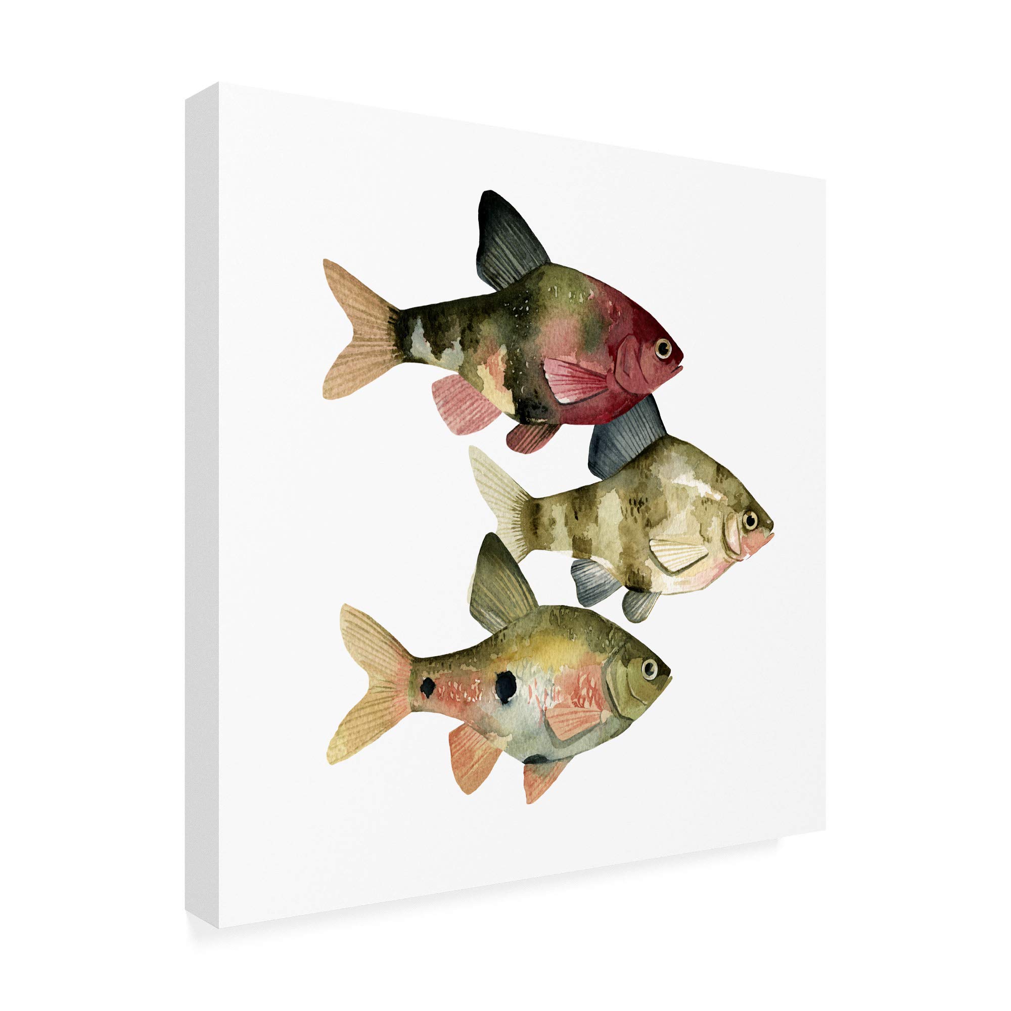 Emma Scarvey Rainbow Fish II 14x14 Fine Art Print - Vibrant Wall Decor for Living Room, Bedroom & Office