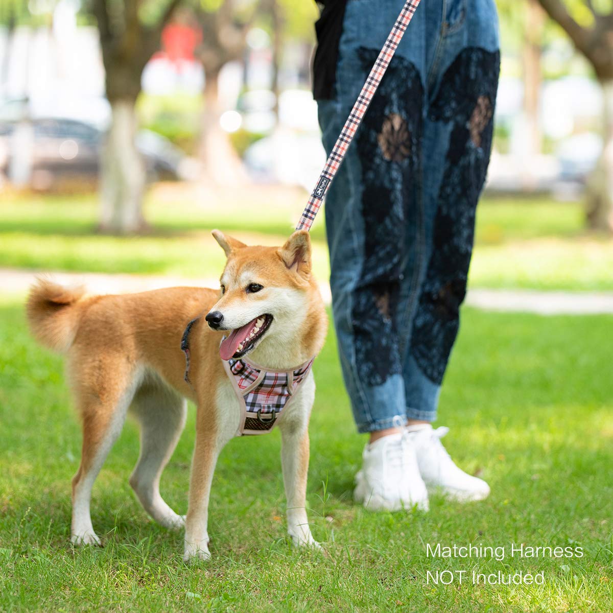 PoyPet 5FT Heavy Duty Dog Leash with Comfortable Padded Handle - Durable Nylon Lead for Small, Medium & Large Dogs (Checkered Beige) | Perfect for Walking, Training & Outdoor Adventures