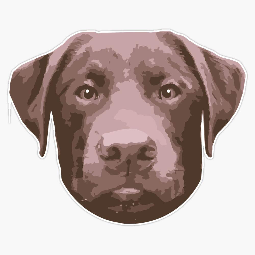 Chocolate Lab - Dudley Vinyl Waterproof Sticker Decal 5