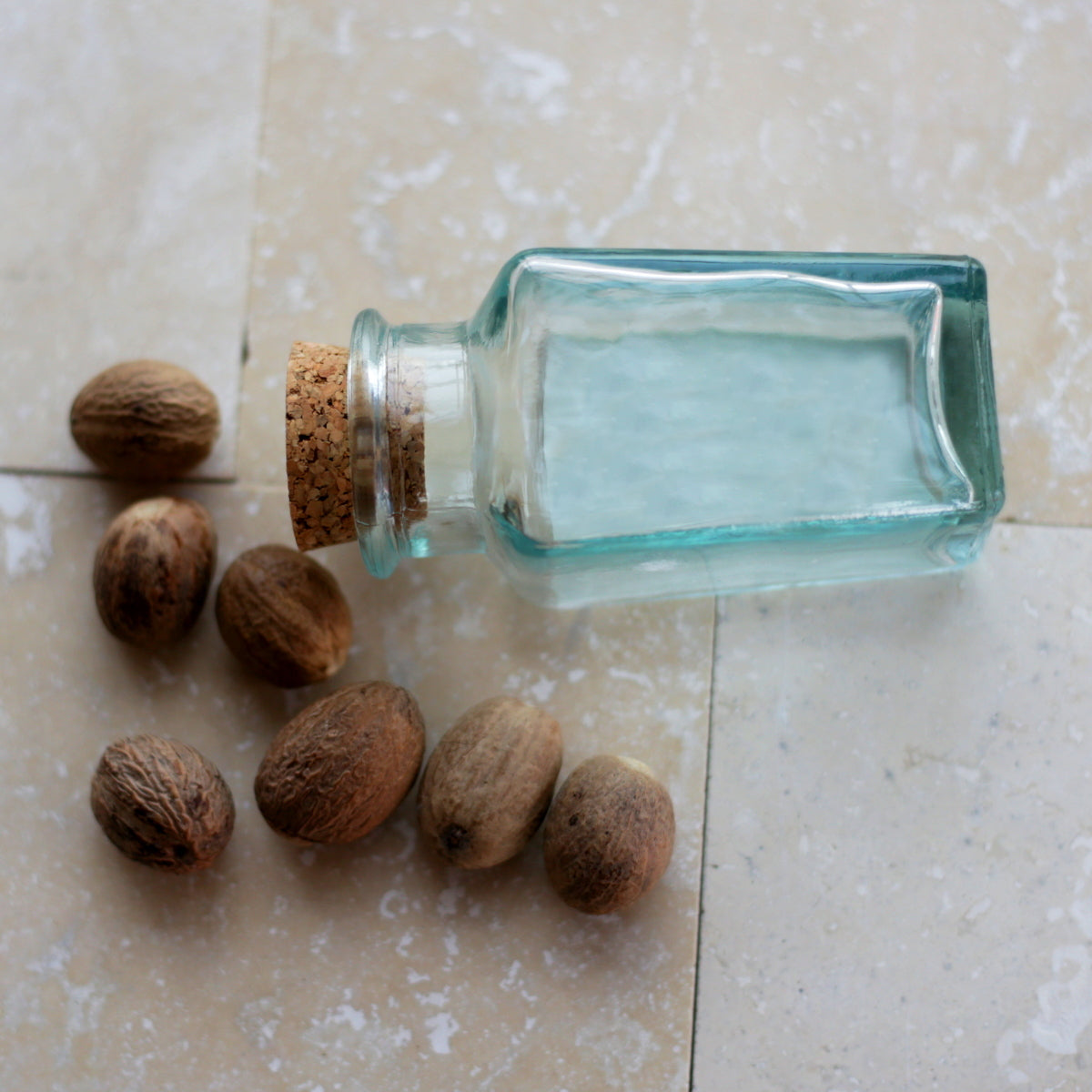 Premium Ground Nutmeg Spice in a Bottle - Perfect for Baking, Cooking & Holiday Recipes