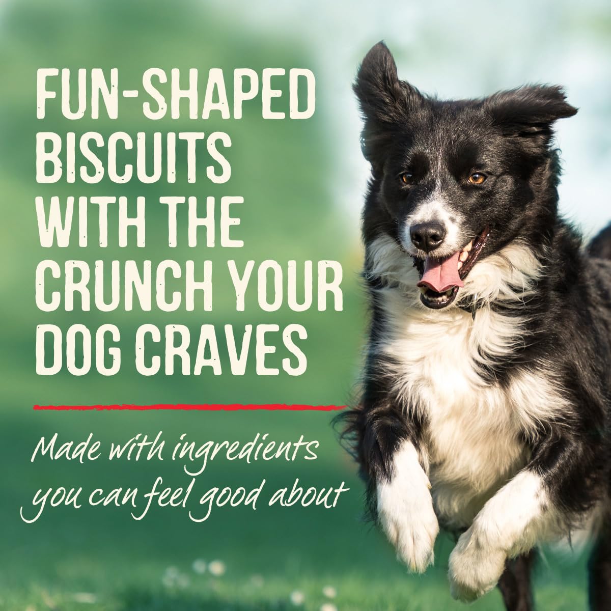 Merrick Oven Baked Natural Crunchy Dog Treats - Grammy’s Pot Pie Flavor with Real Chicken - 11oz Bag - Perfect for Training, Rewards & Dental Health