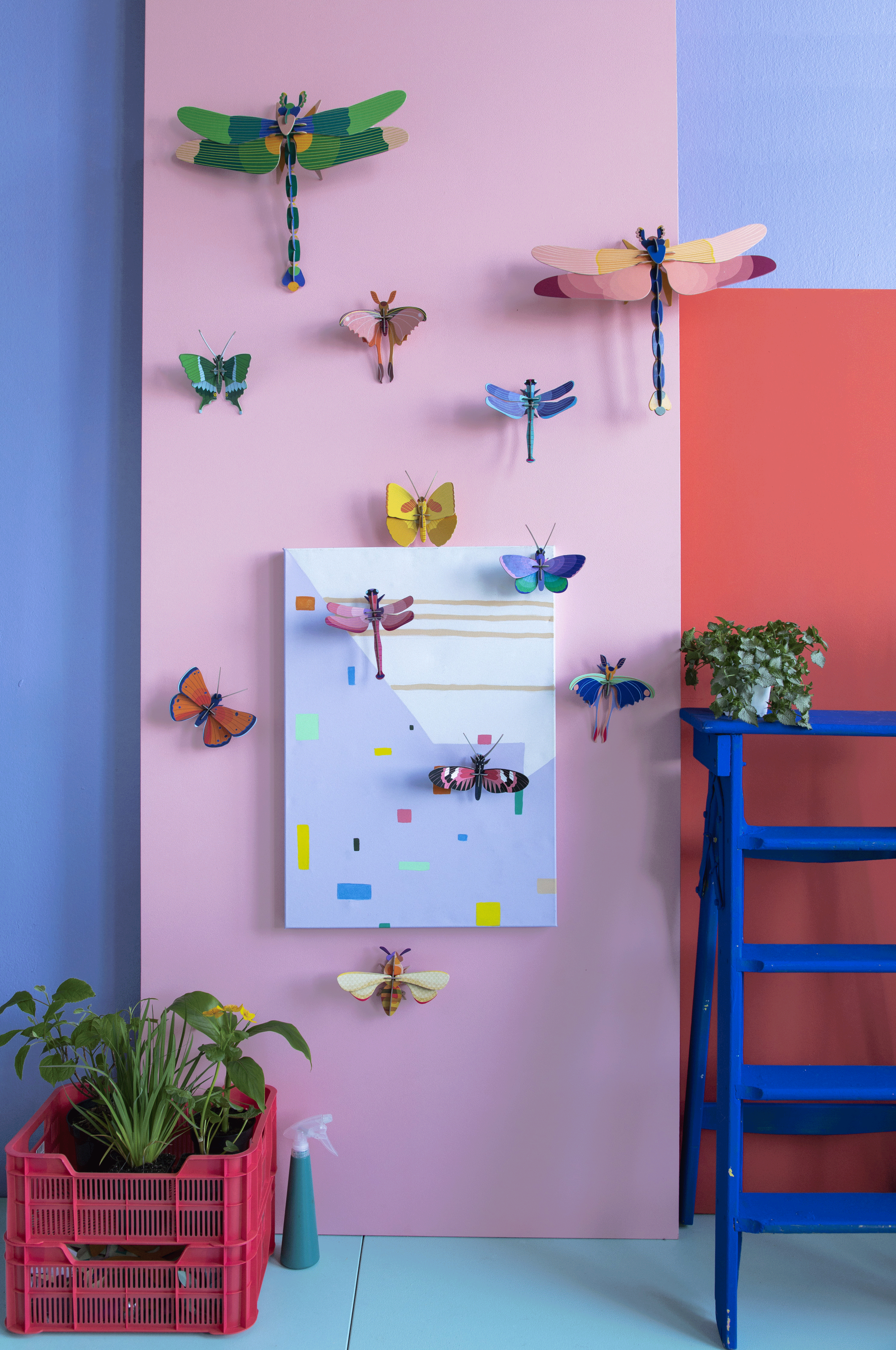 Gold Rim Butterfly Small Insect Specimen - Handcrafted by Studio ROOF - Perfect for Home Decor, Shadow Box Display & Entomology Collections
