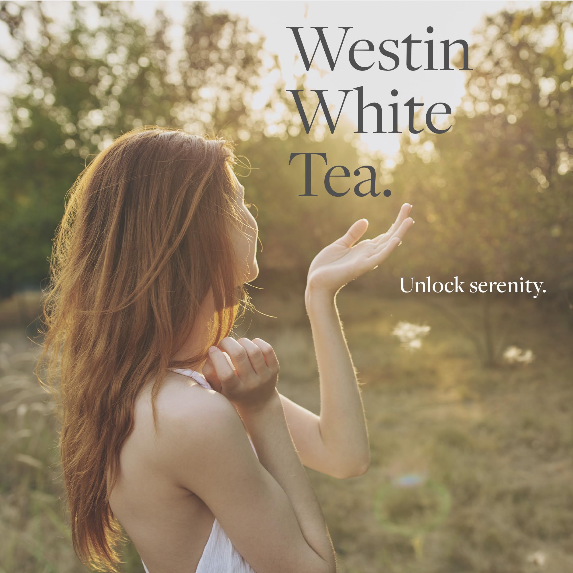 Westin White Tea Essential Oil Diffuser - Aromatherapy Scent Machine with Refill Cartridge - Home Air Freshener for Living Room, Bedroom & Office - Relaxing White Tea Fragrance for Stress Relief & Better Sleep