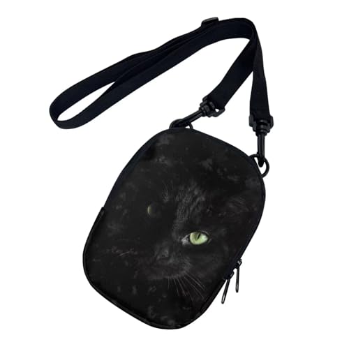 Cool Black Cat