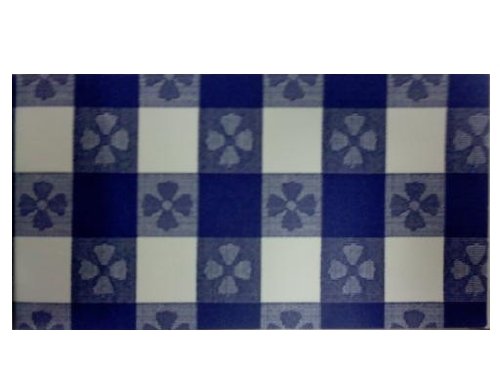 Blue Gingham