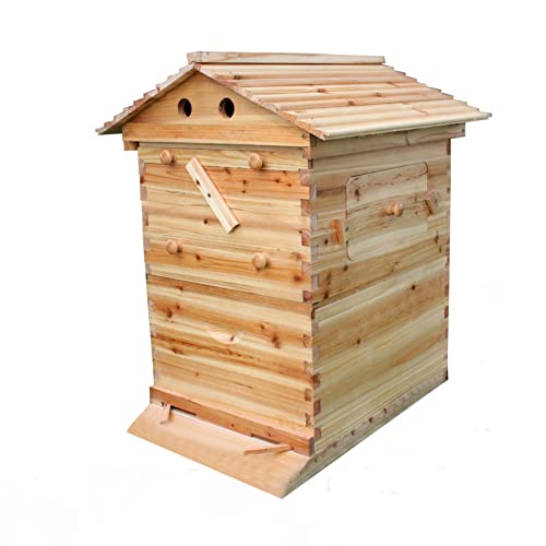Premium Auto Bee Hive Kit - Natural Wooden Beekeeping House with Food Grade BPA-Free Frames & Boxes for Honey Production - Perfect for Backyard Beekeepers & Sustainable Farming