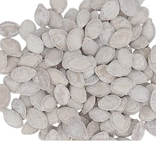 SECRET CANDY SHOP Premium Indian Salted Pumpkin Seeds - 5/16oz Bags (Pack of 18) - Healthy Snack for Office, Travel & Movie Nights
