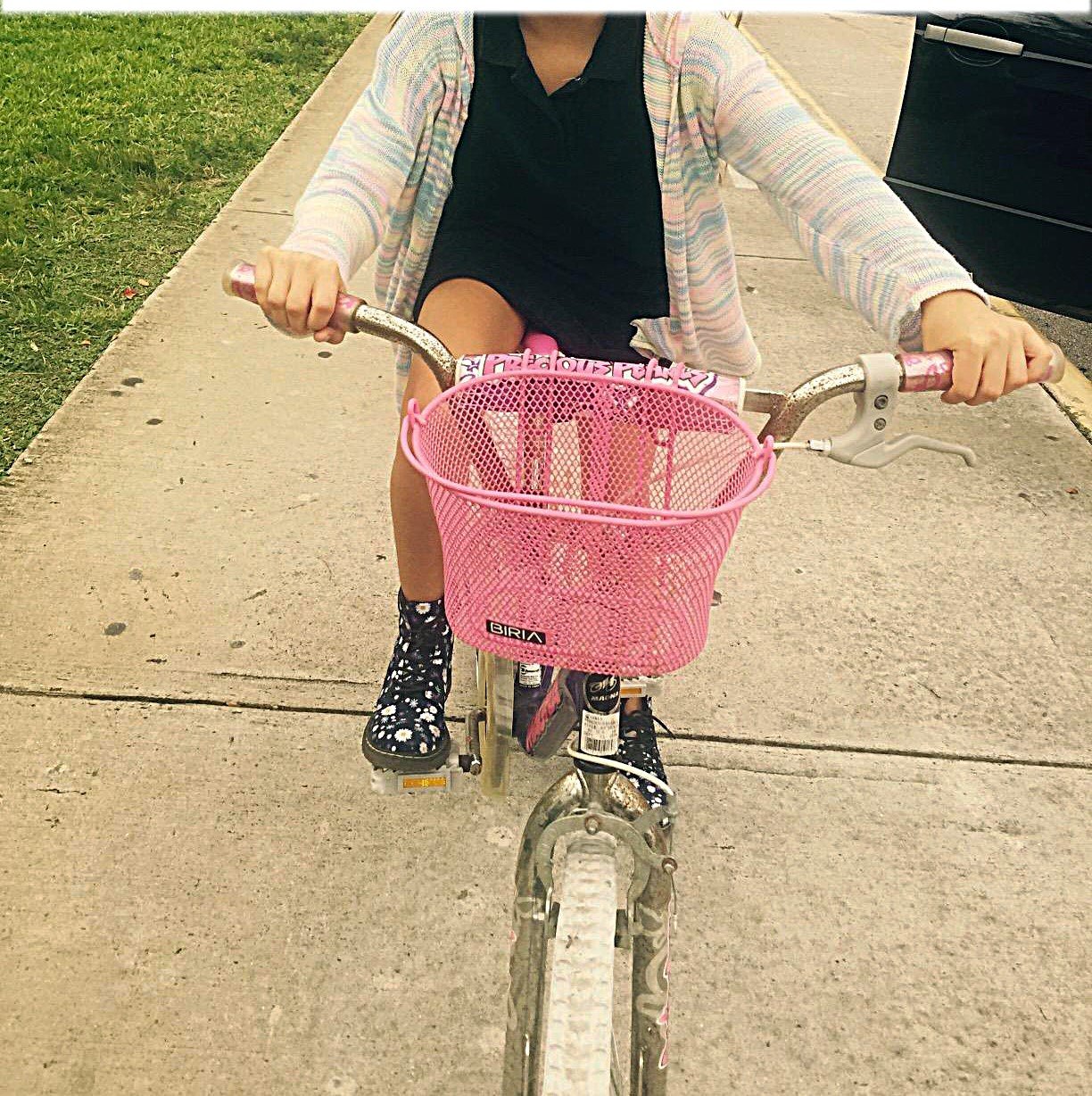 Kids Bicycle Basket with Removable Front Hooks & Wire Mesh - Perfect for School Supplies, Picnics & Outdoor Adventures